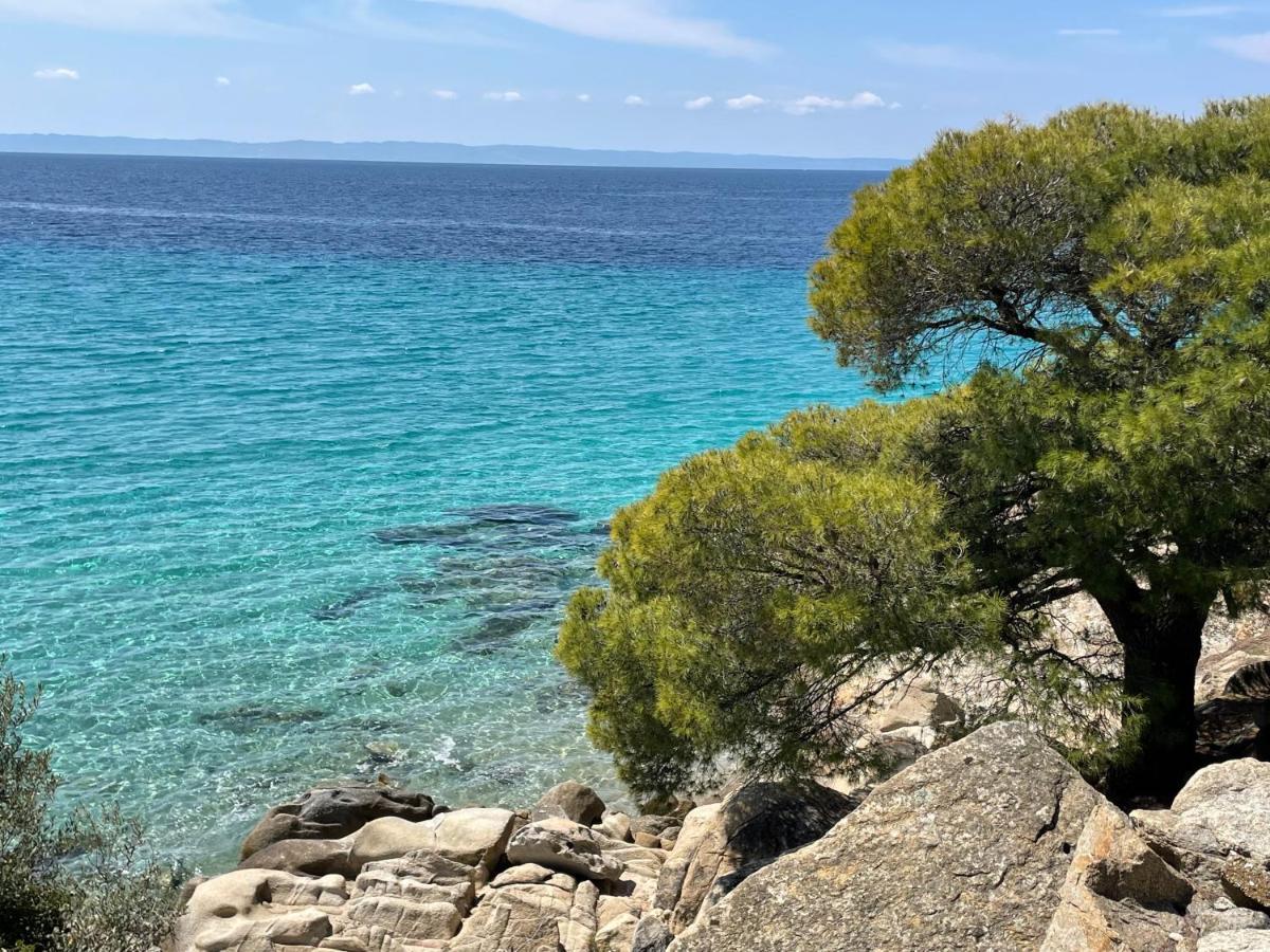 Sithonian Villa Νέος Μαρμαράς Εξωτερικό φωτογραφία