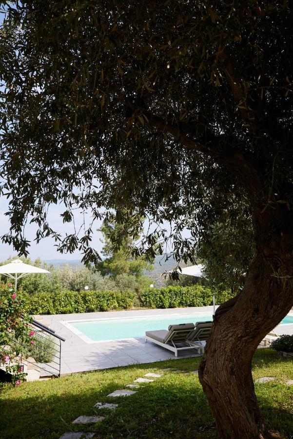 Sithonian Villa Νέος Μαρμαράς Εξωτερικό φωτογραφία