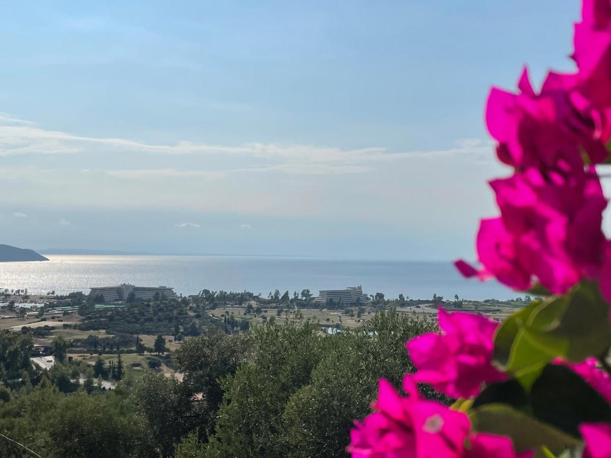 Sithonian Villa Νέος Μαρμαράς Εξωτερικό φωτογραφία