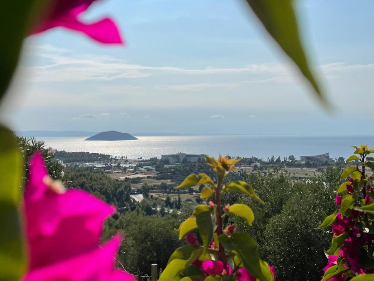 Sithonian Villa Νέος Μαρμαράς Εξωτερικό φωτογραφία